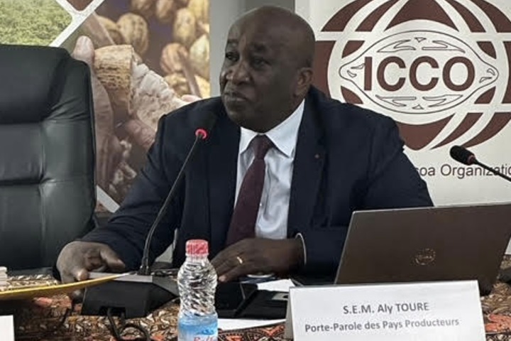 Crise du marché mondial du cacao : les pays producteurs appellent à une réaction commune