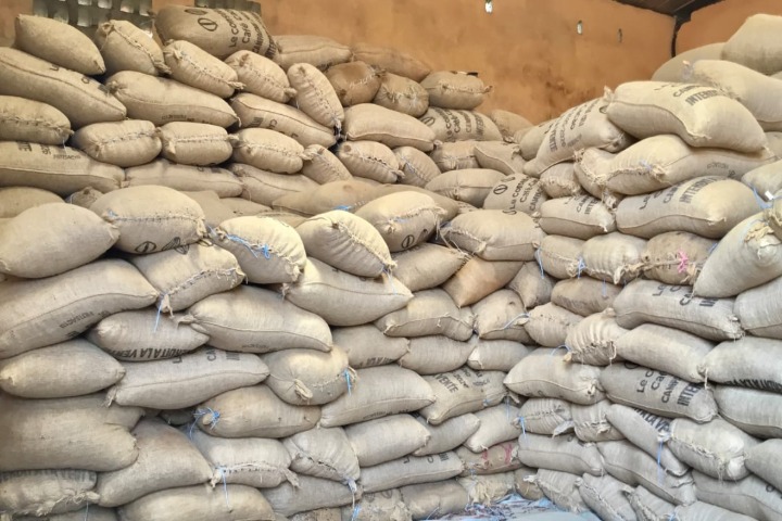 Côte d’Ivoire. Stocks de cacao en attente : « Ce sera la catastrophe si… » (un porte-parole...