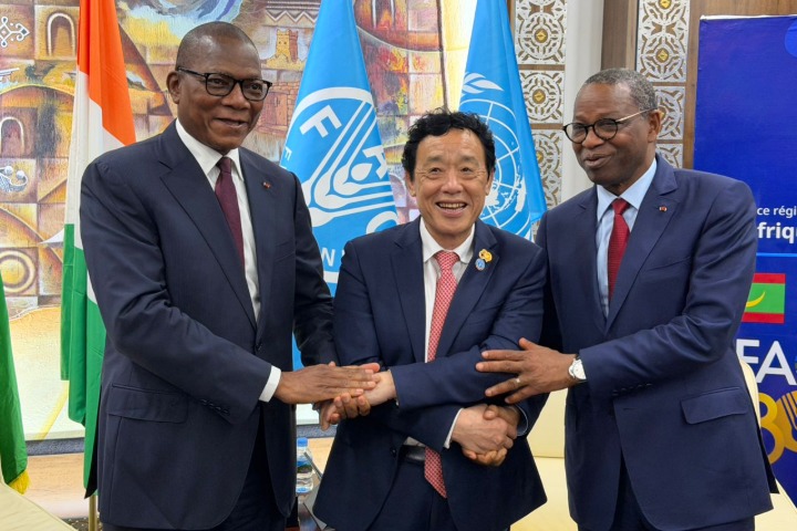 Côte d'Ivoire. Protection sociale : une assurance retraite pour les producteurs agricoles