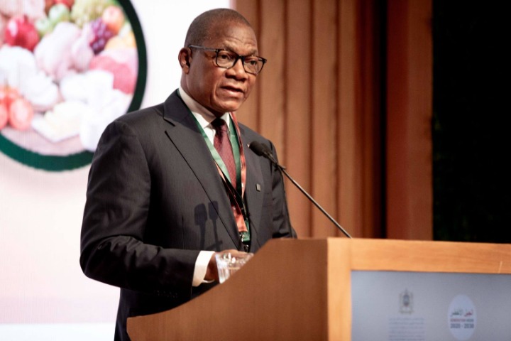 Côte d'Ivoire. Des propositions de Bruno Koné pour mieux couvrir les besoins en viande