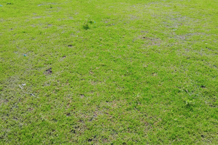 Côte d'Ivoire. Les terres de culture s’épuisent sous l’effet des fertilisants