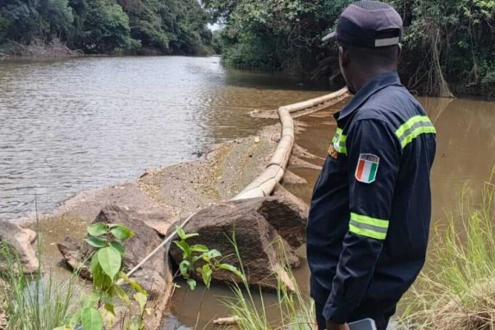 Côte d’Ivoire. Mort massive de poisson dans le Bandama : une usine sucrière mise en cause