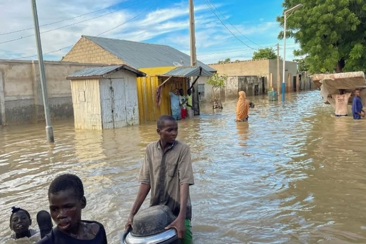 Pluies diluviennes et inondations - El Niño frappe l’Afrique de l’Ouest : (2/2) - les récoltes...