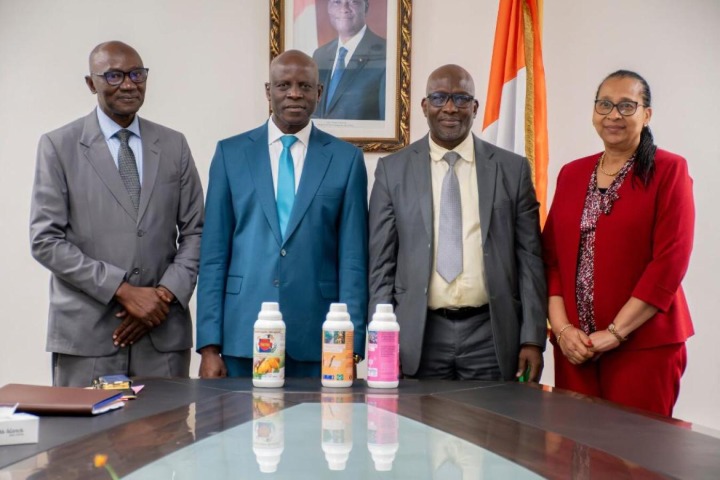 Côte d’Ivoire - Innovation. Maladie du cacao : 90 % de succès pour une solution 100 % made in...