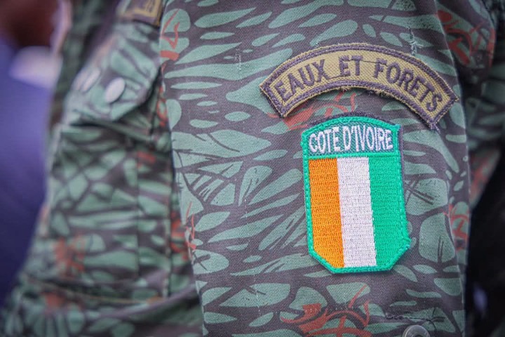 Côte d’Ivoire. Fausse note sur le concours des eaux et forêts : attention aux braconniers des...