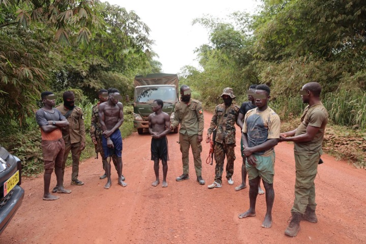Côte d’Ivoire. Cinq orpailleurs clandestins conduits au Pôle pénal économique et financier