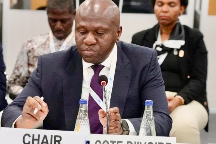 Côte d’Ivoire - Orpaillage illégal : Abou Bamba lance une coalition africaine à la COP 17 en...