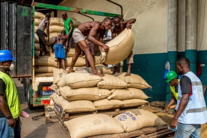 Côte d’Ivoire. Prix d’achat du café et du cacao : Bruno Koné répond aux acteurs mécontents