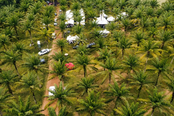 Côte d’Ivoire .Un trésor caché à Bingerville : le Jardin botanique